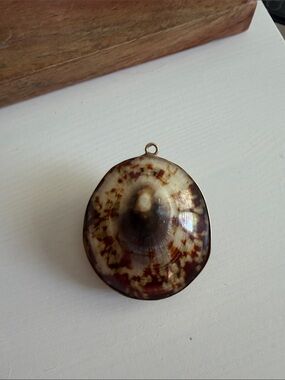 Vintage Coastal Brown and Olive Green Clam Shell Pendant with Gold Rim